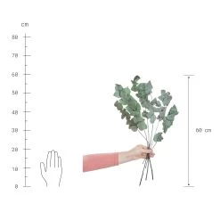 2x Trockenblumen Eukalyptus Länge 60cm FLOWER MARKET In Grün -Zuhause Dekoration Store butlers 2x trockenblumen eukalyptus lange 60cm flower market in grun 3