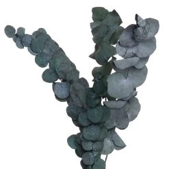 Trockenblumen Blumenstrauß FLOWER MARKET In Grün -Zuhause Dekoration Store butlers trockenblumen blumenstrauss flower market in grun 2