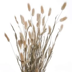 Trockenblumen Blumenstrauß FLOWER MARKET In Grün -Zuhause Dekoration Store butlers trockenblumen blumenstrauss flower market in grun 4